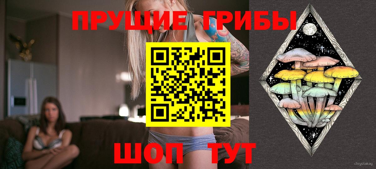 Псилоцибиновые грибы мухоморы Челябинск