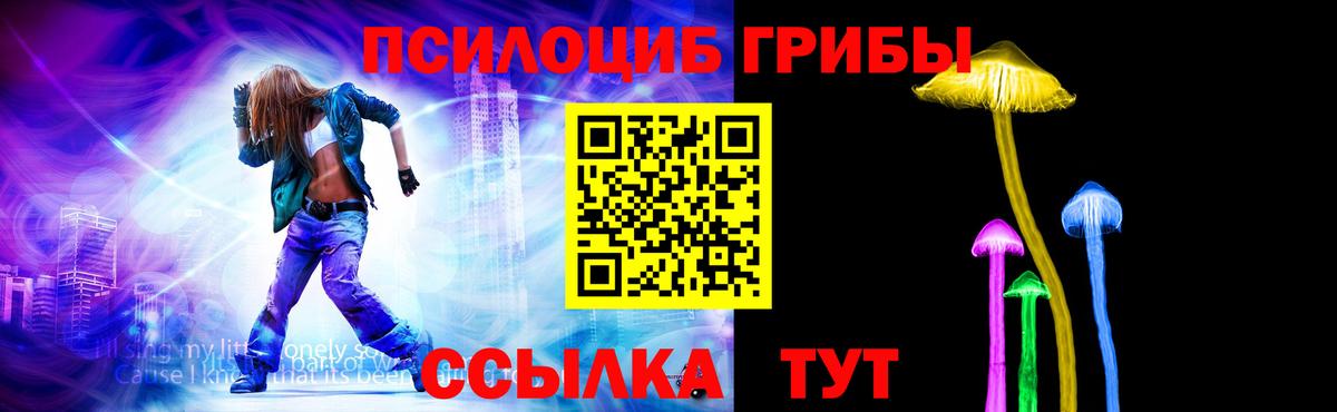 Челябинск  Псилоцибиновые грибы Psilocybine cubensis  Вход с VPN 
